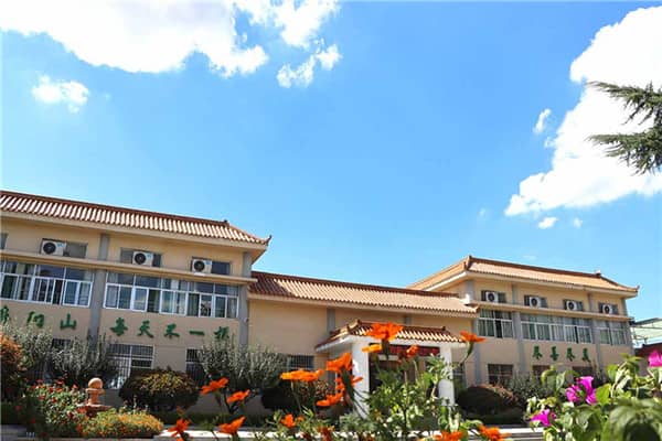 西安壽陽山墓園在清明節期間有哪些建議來避免園區擁堵？