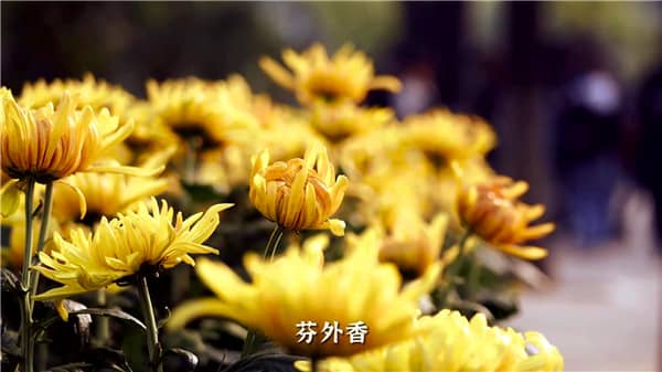 西安霸陵墓園風水解析及選址原則探討
